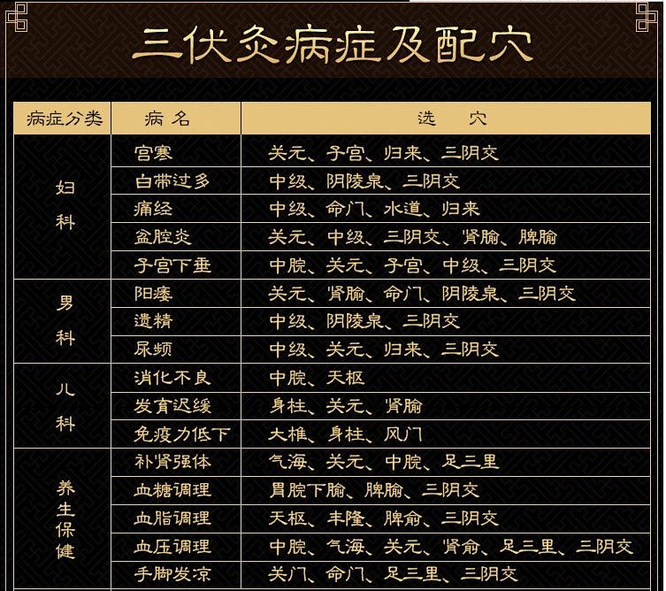 冬病夏治 三伏灸三伏贴 预防骨痛关节病慢性疾病 夏季