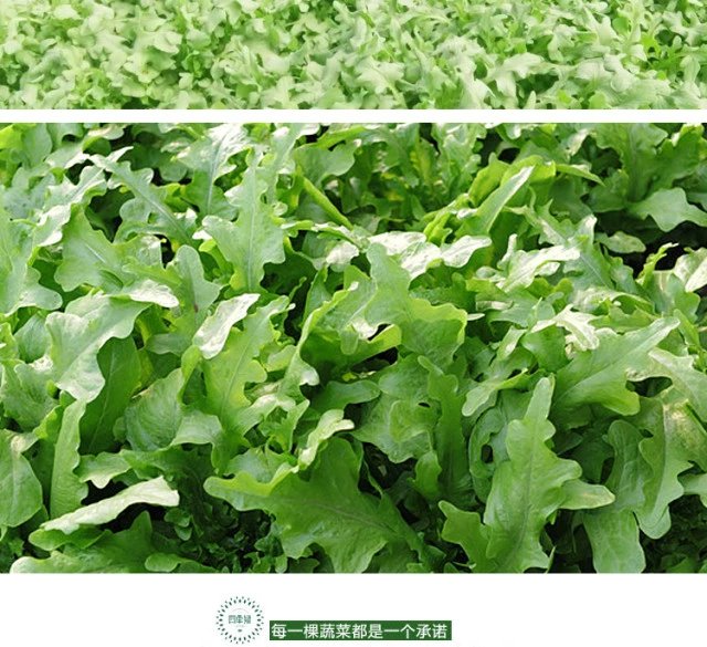 甜麦500g