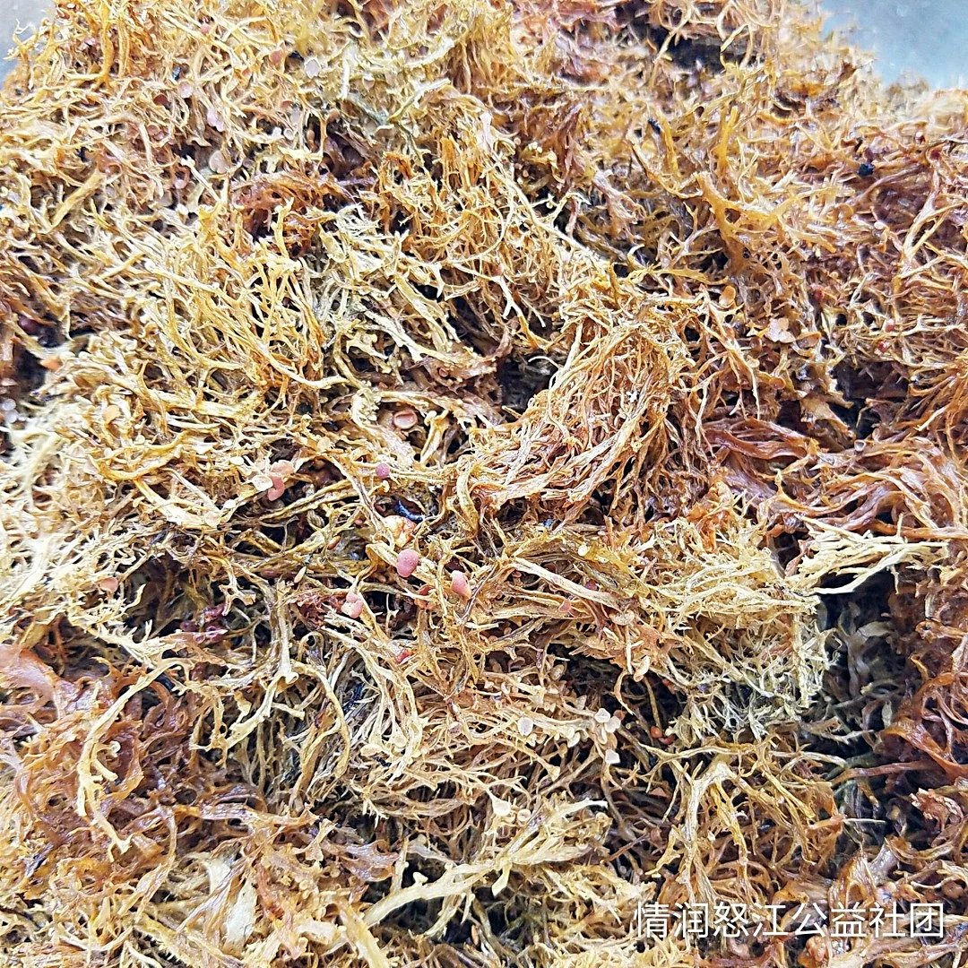 树花菜(降血糖血脂.学名扁枝衣.质地柔软,形色似棕黄色胡须.