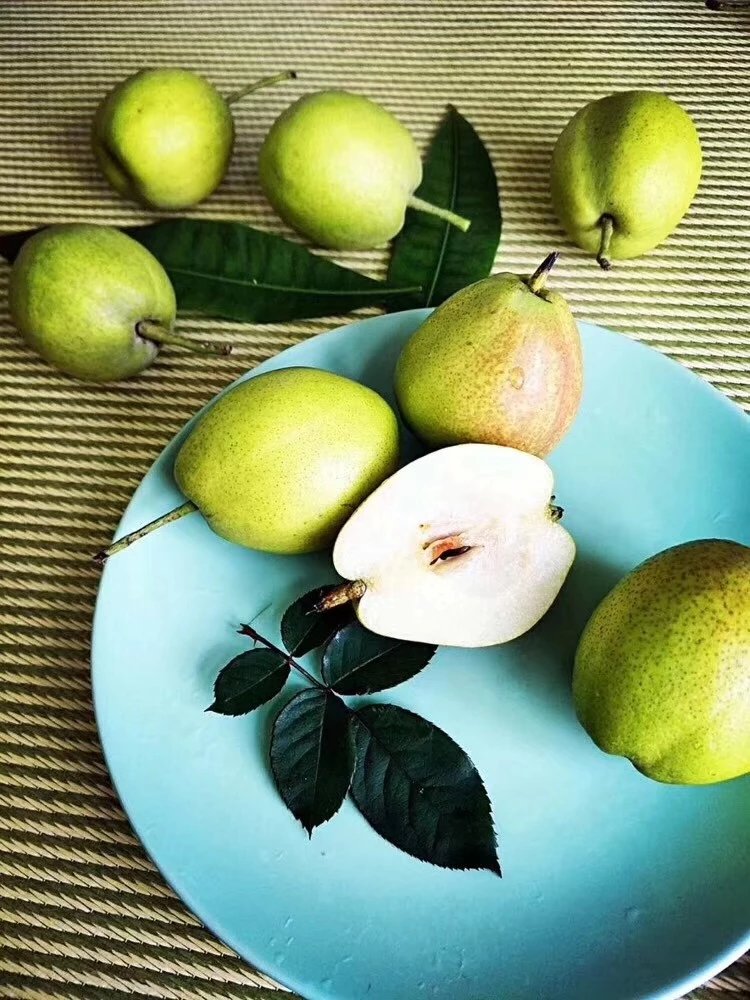 正宗库尔勒香梨,新疆最负盛名的果品之一,香梨实属果中珍品,声名远扬