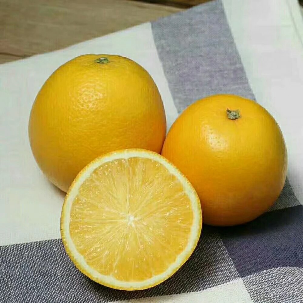 ǭǳ ĳ,ͷ,һ,
