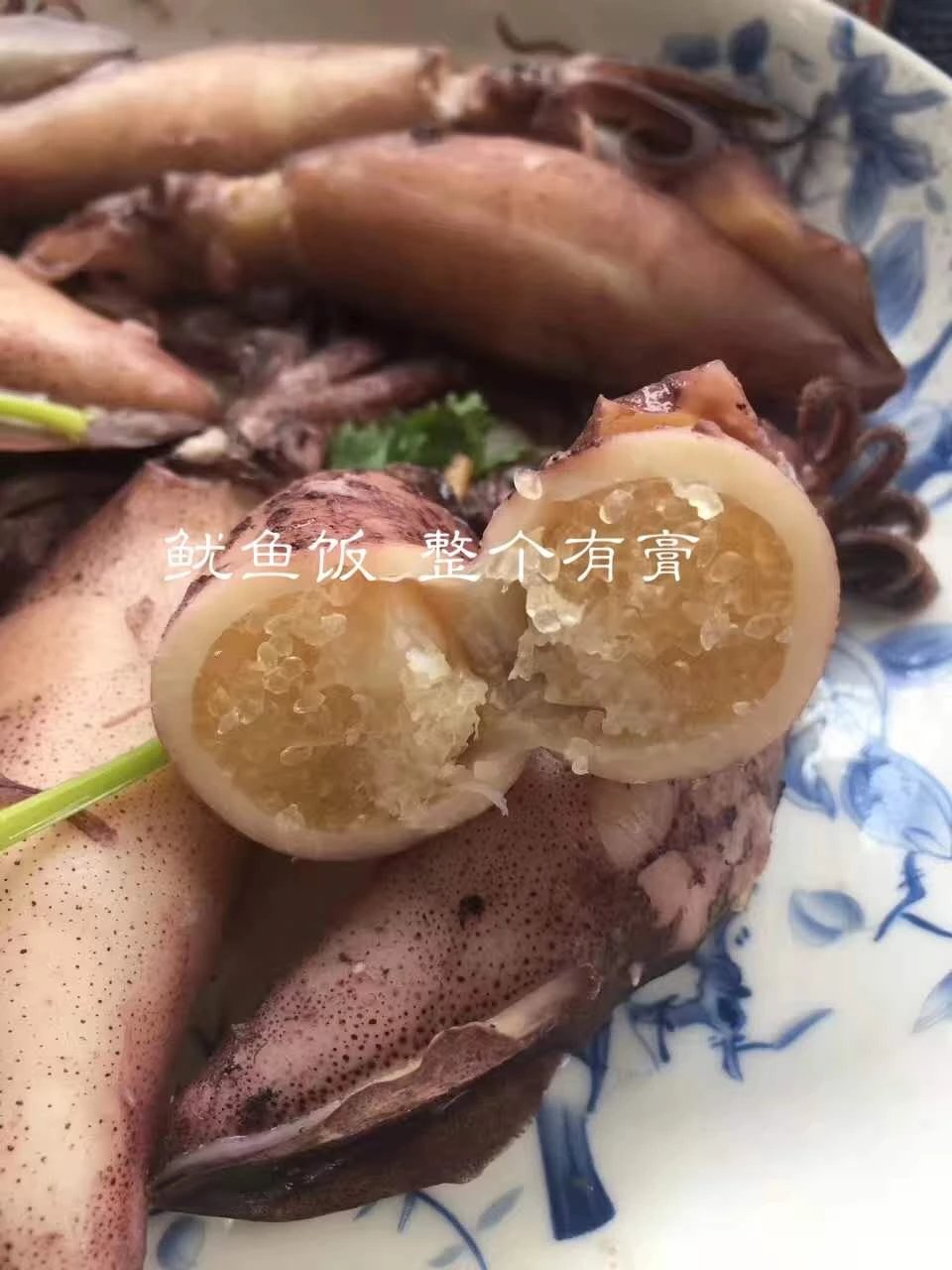 膏鱿尼饭 新鲜冷冻鱿鱼饭/海兔仔 15只左右1斤装.