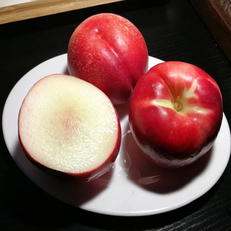 【红珊瑚油桃】【15号左右发货】正宗沂蒙山 红珊瑚超