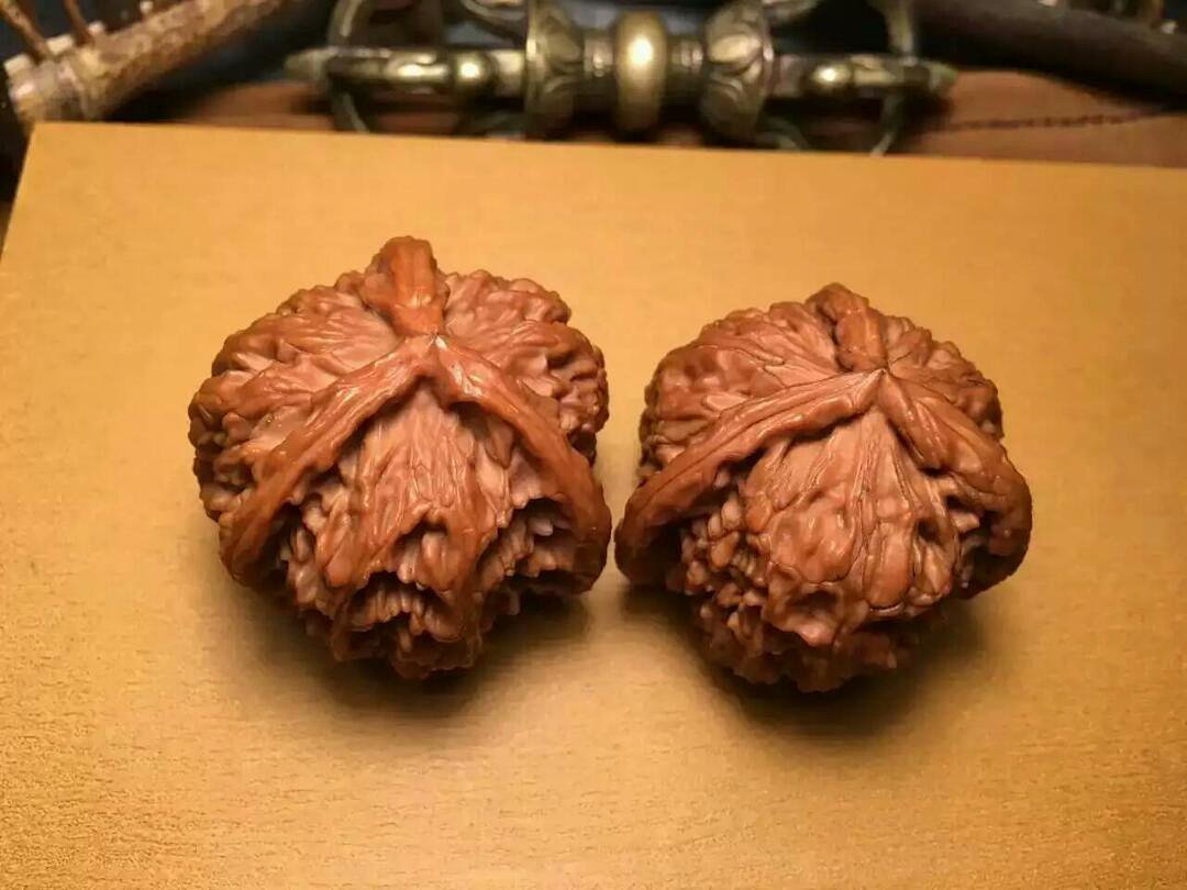 白狮子正奔 闷尖儿核桃