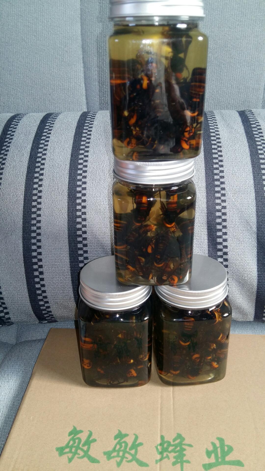 mm胡蜂酒320克 胡蜂20只 活泡 #胡蜂酒的功效# 野蜂酒又叫胡蜂酒,有
