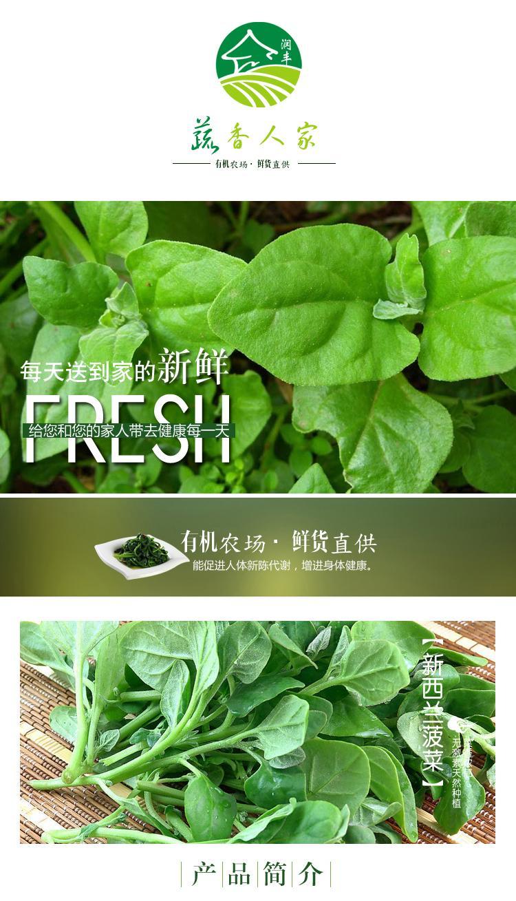 润丰蔬香人家新西兰菠菜 有机新鲜蔬菜配送300克 广东满88元包邮