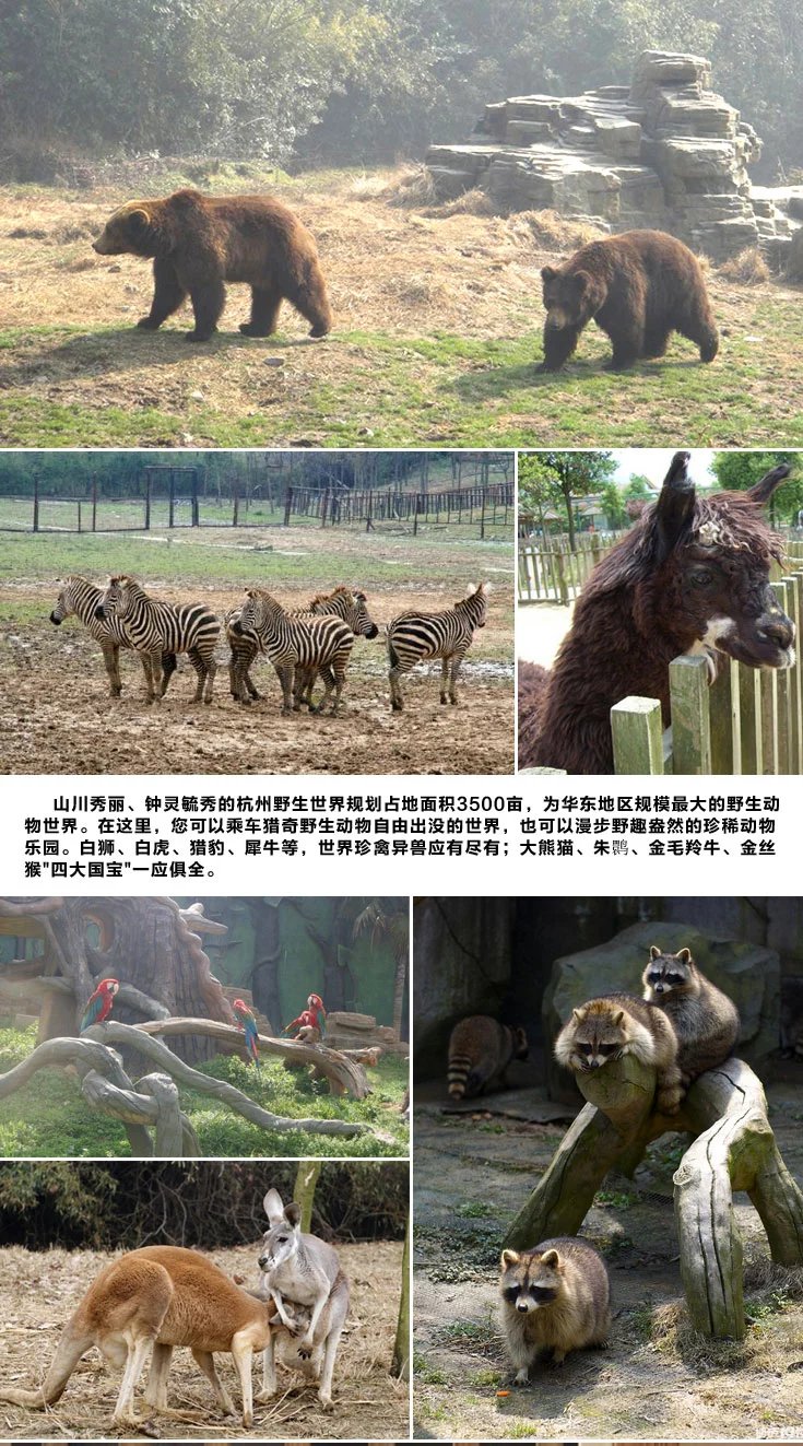 即买即用 杭州野生动物世界门票 杭州野生动物园门票