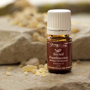 sacred frankincense - 神圣乳香精油,抗癌抑制癌细胞的神圣精油