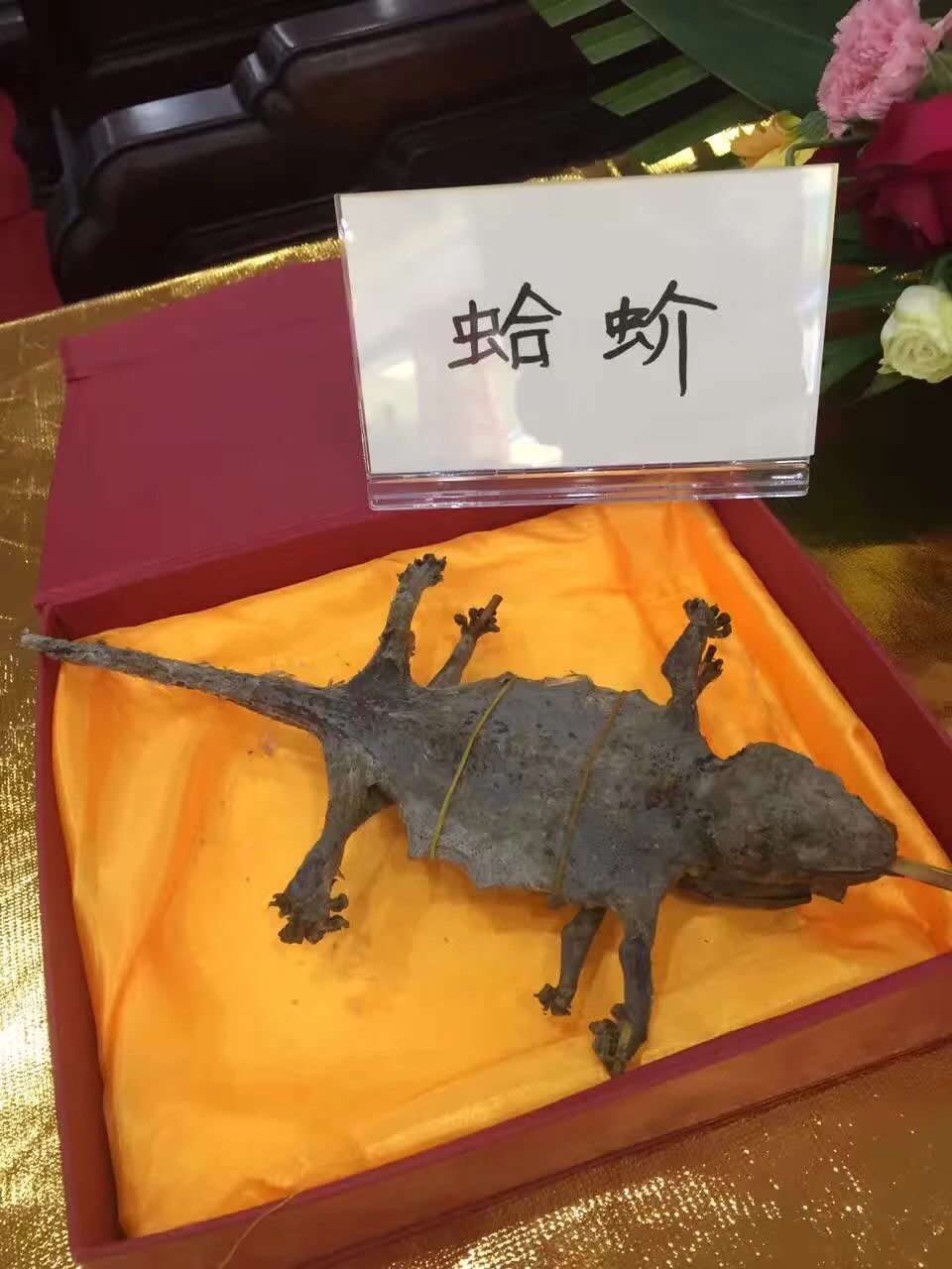 哈蚧280一对