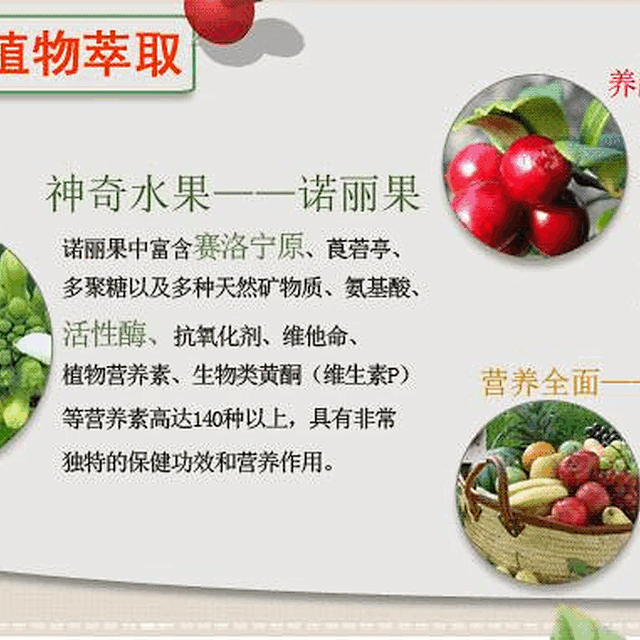 广州橡果 诺丽果酵素 排毒酵素 br />  br /> 规格:10*30袋/盒;40盒