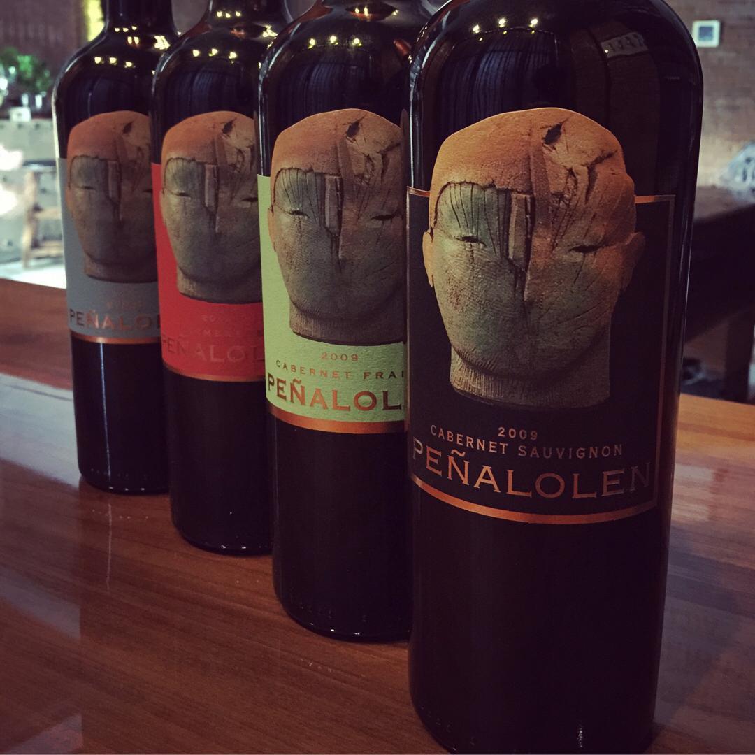 penalolen cabernet franc贝雅罗伦品丽珠红葡萄酒2009