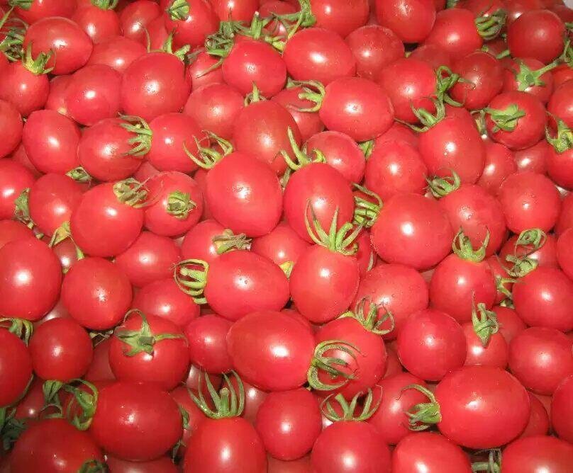 海南千禧小西红柿,无激素农药,口感:清甜多汁