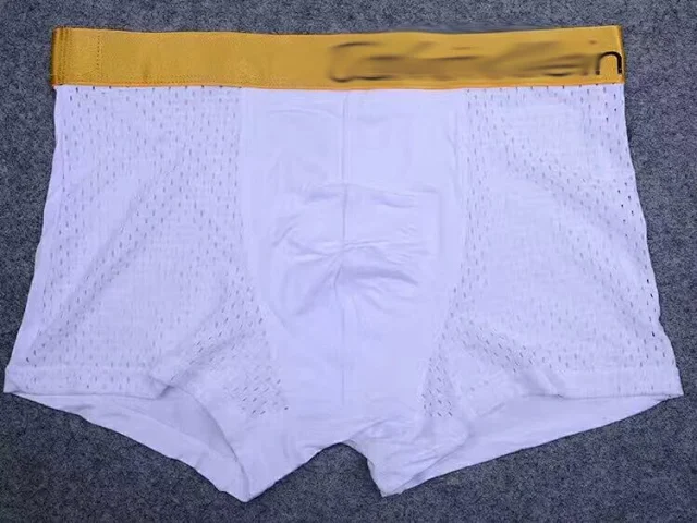 Unbranded Underwear Men's Mesh Boxer Briefs product detail image 8
