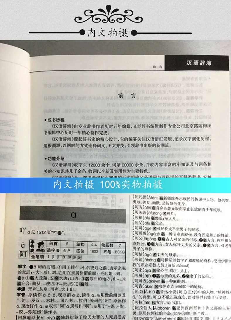 辞海》新编现代汉语辞海新版大辞典笔顺/结构/五笔/解字/字源/汉译英