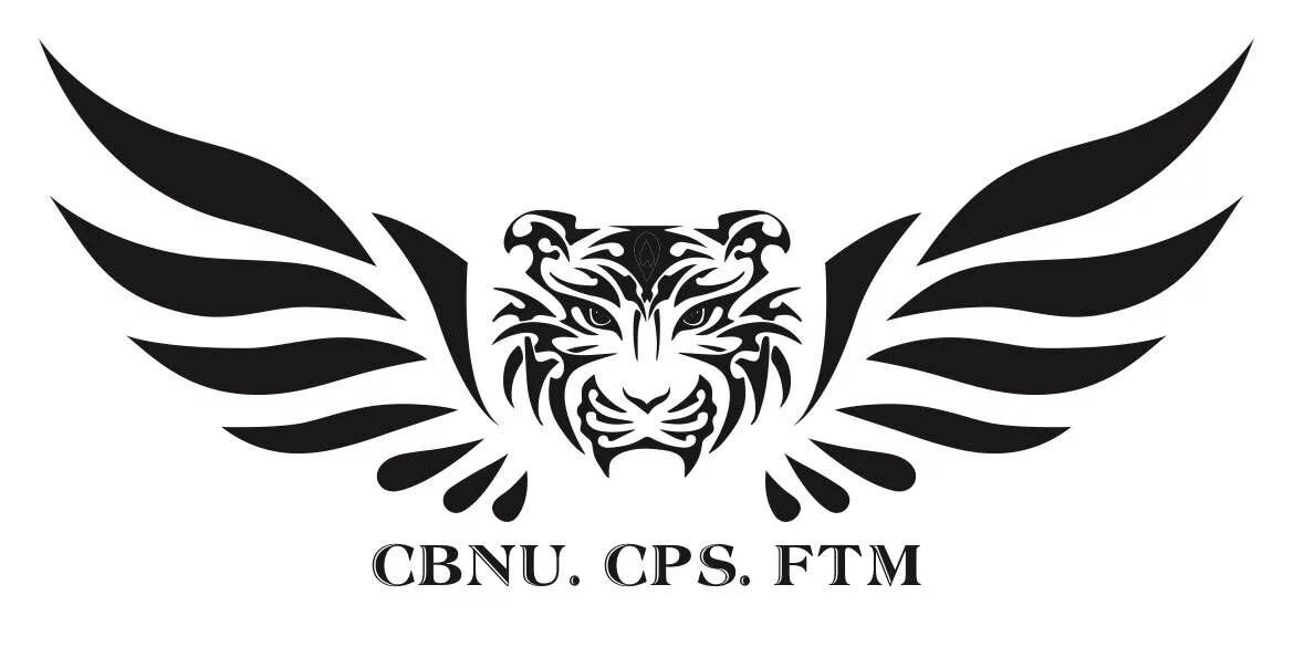 赞助飞虎队车队