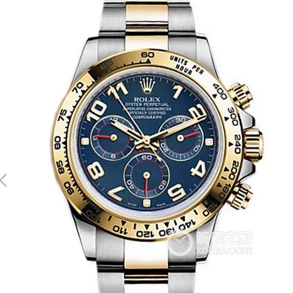 Rolex bag