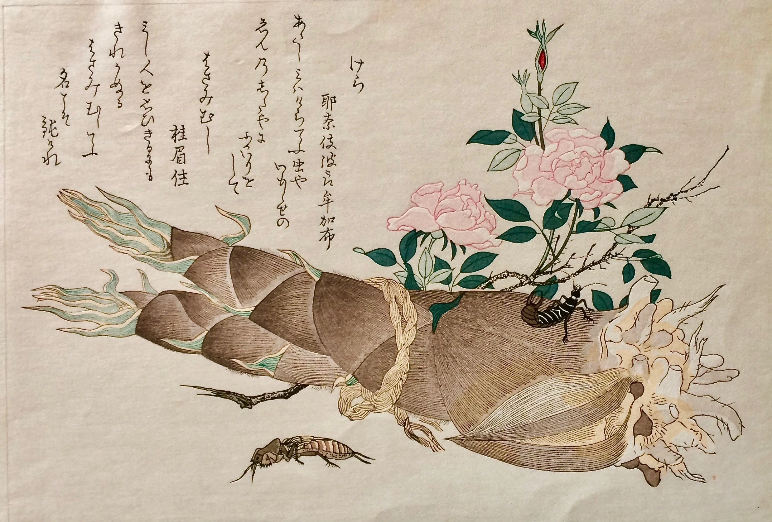 喜多川歌麿《画本虫撰》】”竹笋、蝼蛄与蠼”，极品，细节美轮美奂