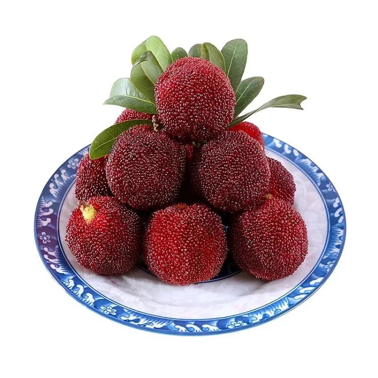 【正宗仙居东魁大杨梅】1斤装 最后一周【现在的仙居杨梅是长在高山上