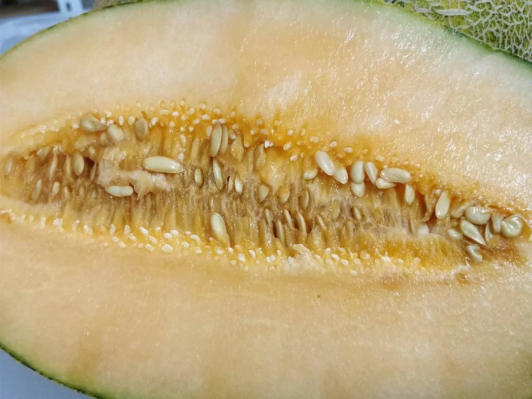 清朝"贡瓜"伽师瓜八六王,是招待嘉宾的珍品,富含维c和植物纤维