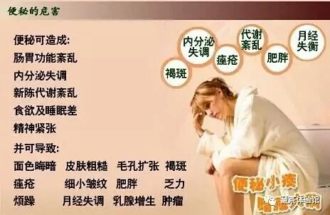 便秘 健康的杀手 藏茶 便秘的克星 便秘 健康的杀手 藏茶 便秘的克星