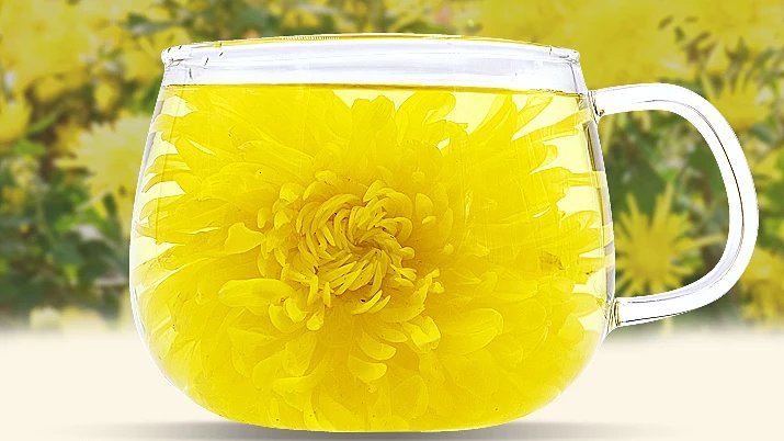 金丝皇菊的口感怎么样