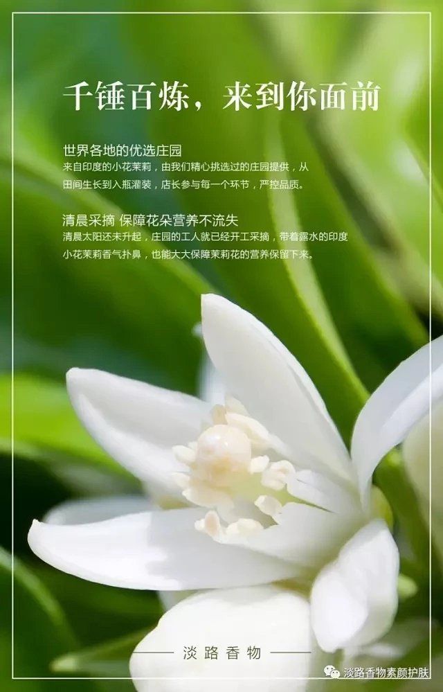 琪花瑶草 纯露之道 一滴 即是一片花海