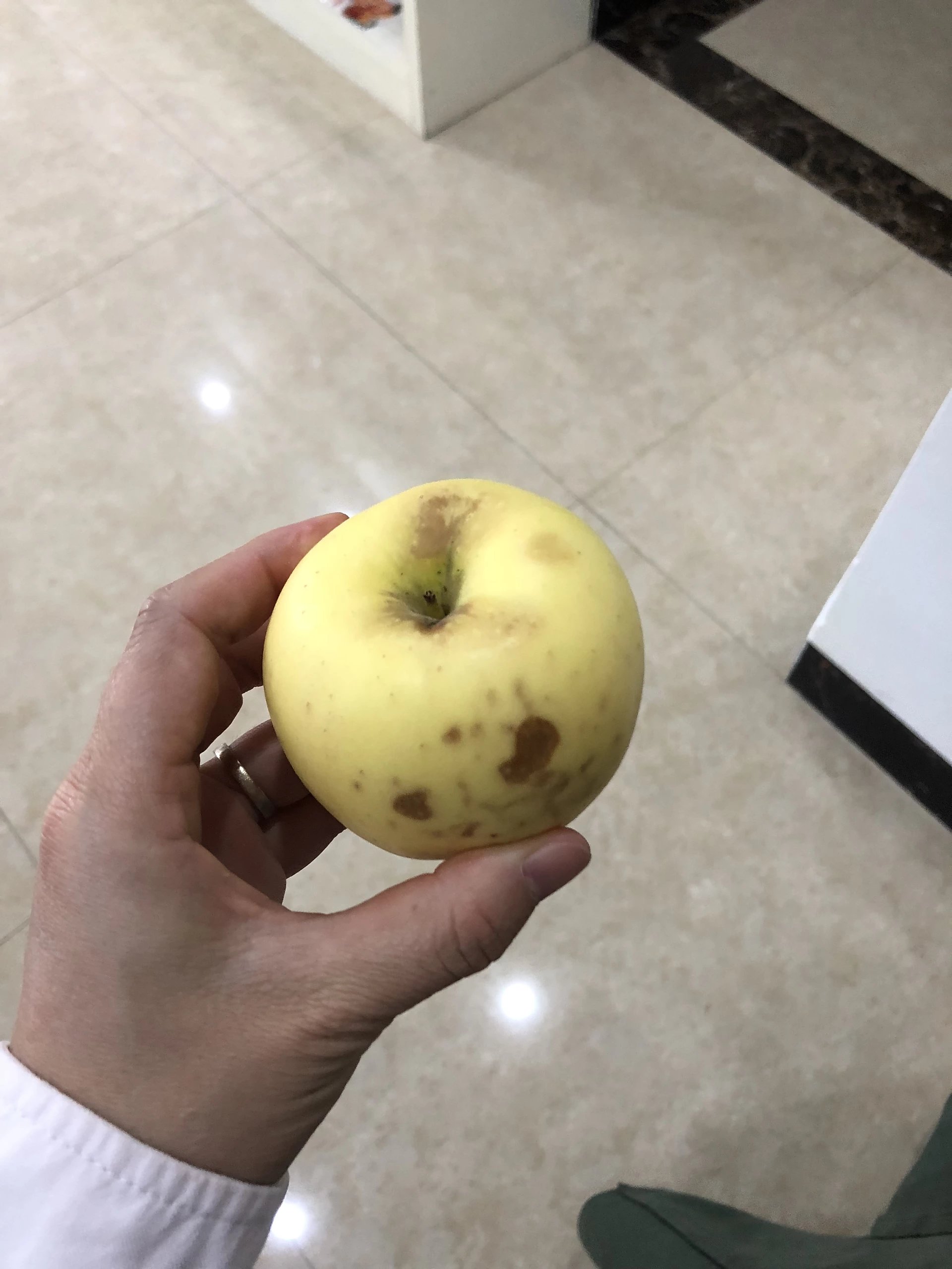 烂掉的苹果撞伤图片