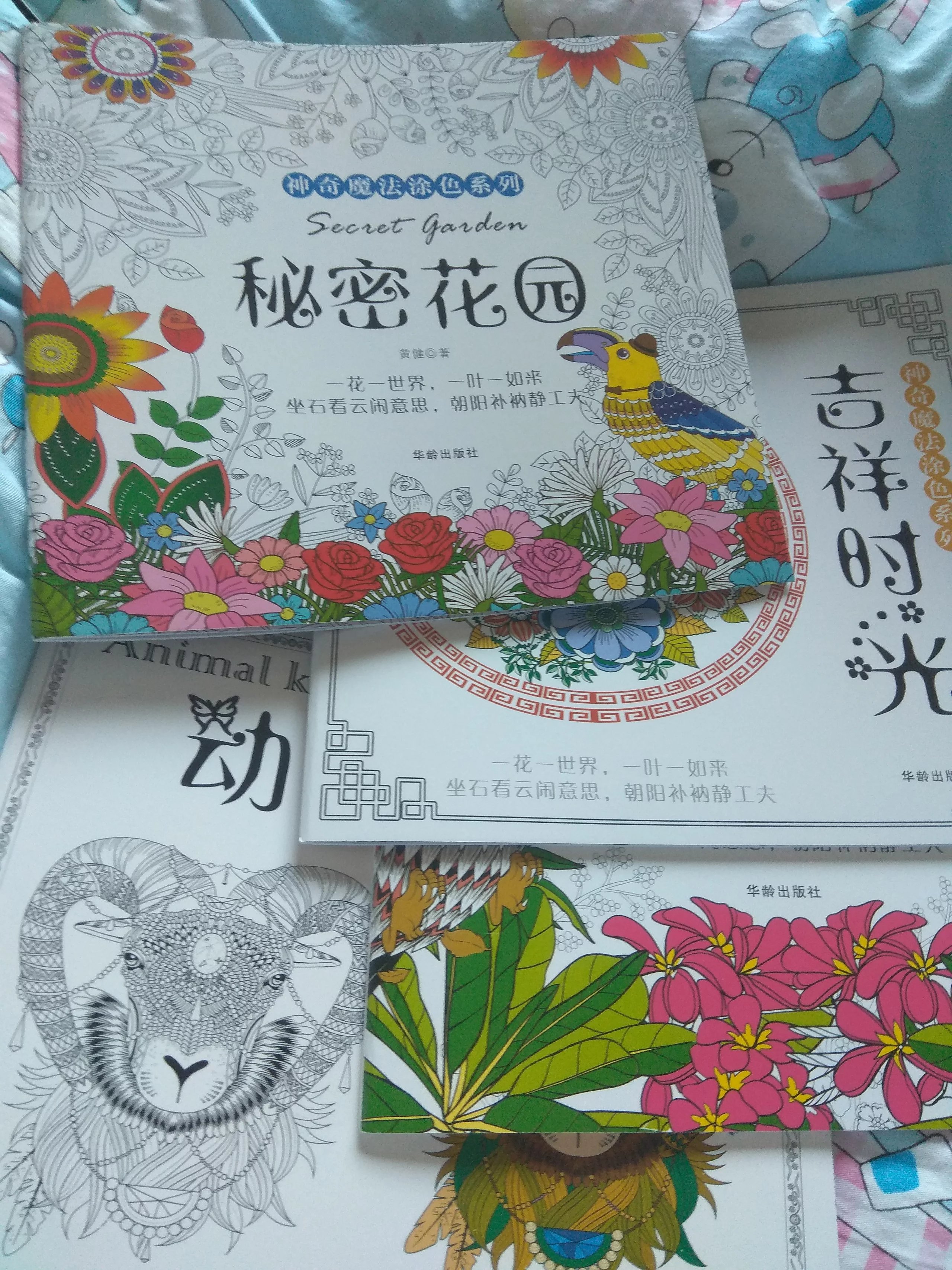 【秘密花园【手绘书 全套6册 3-12岁儿童益智涂鸦绘画书 手绘填充