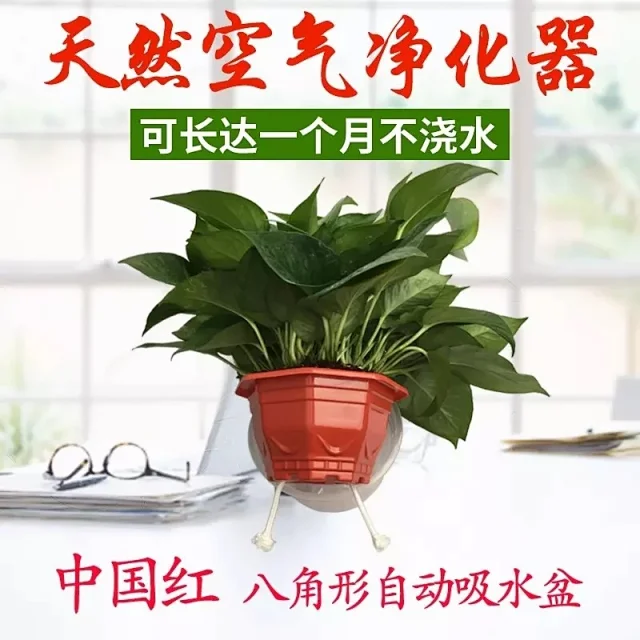 双层绿植塑料自动红色吸水盆栽室内新款八角大花盆绿萝花盆桌面 双层绿植塑料自动红色吸水盆栽室内新款八角大花盆绿萝花盆桌面
