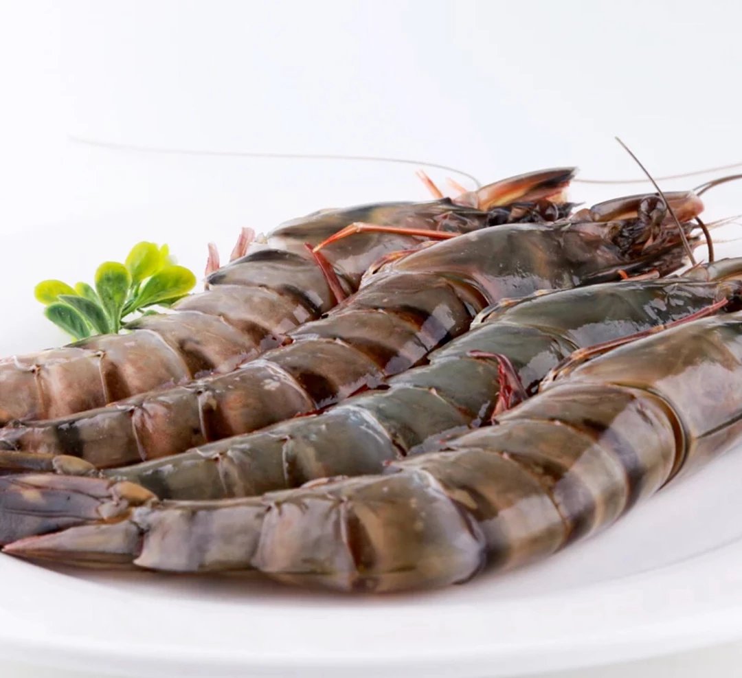 越南野生黑虎虾  1kg  黑虎虾身长20cm一22cm 也算巨无霸级别哈