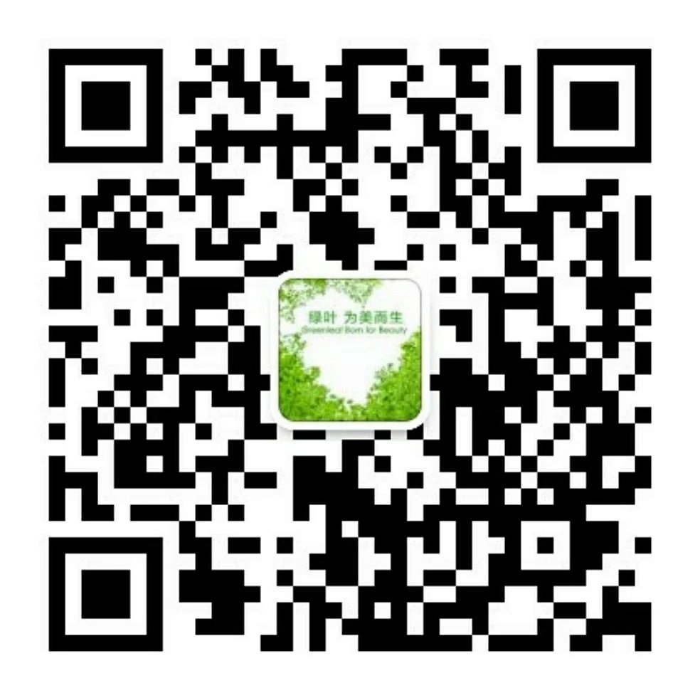 一叶一世界 一花一宇宙 与花叶之间感受生命的气息 安然舒适之感悠然而生 绿叶愿陪衬你灿烂如花的人生