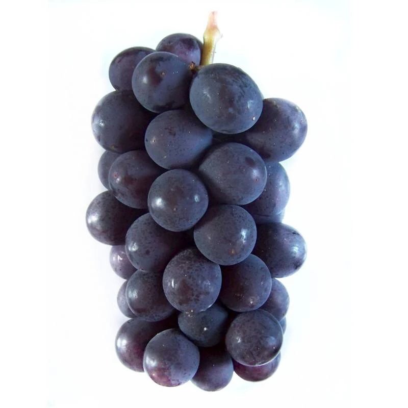 乒乓球葡萄500g/份