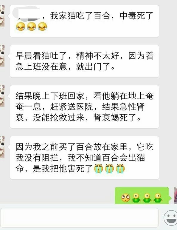 会害死猫的植物快送走