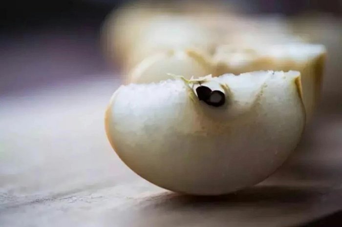 传说中的秋梨膏,究竟凝炼了怎样的秋日丰美之味? - 明藏道妙 - 上塔山房de博客 传说中的秋梨膏,究竟凝炼了怎样的秋日丰美之味? - 明藏道妙 - 上塔山房de博客
