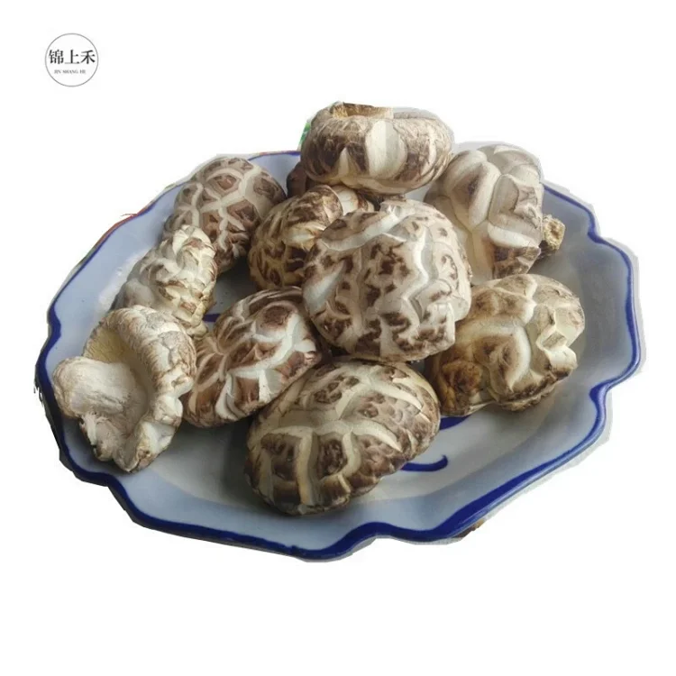 精品白花菇纯栎木冬花菇出口级别农家种植随州地标特产250 500克包邮 精品白花菇纯栎木冬花菇出口级别农家种植随州地标特产250 500克包邮