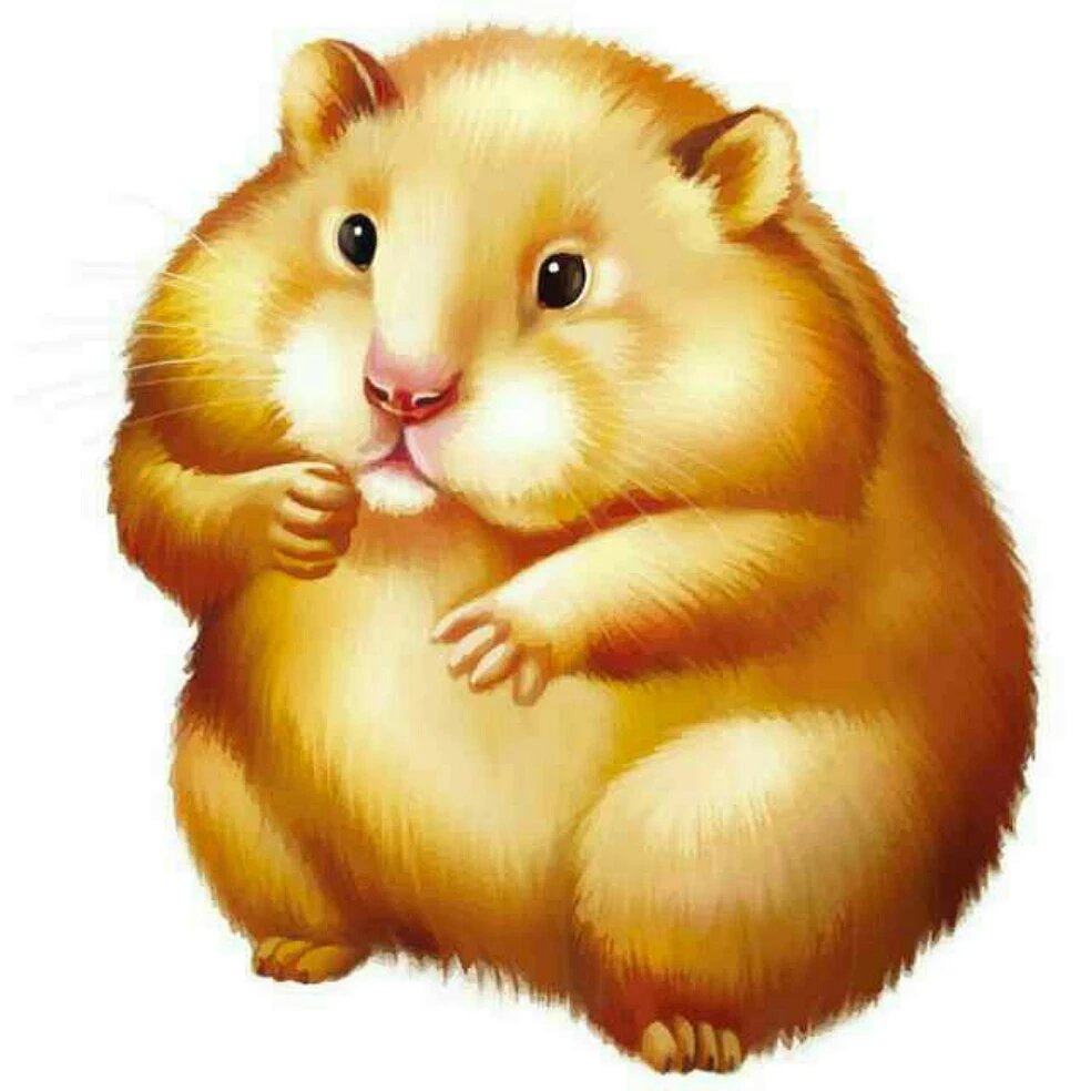 微信号:qq1018411565       