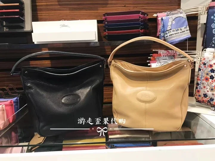 Longchamp mystery hobo sale