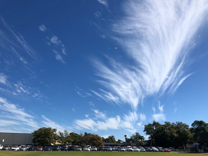 Teddy Bear Picnic 学校的野餐活动 说是野餐活动 实际就是去接触大自然 今天练习一下英文吧