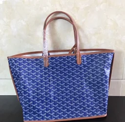 thumbnail for Goya's new dual-purpose model