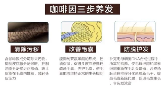 限量版 现货 德国代购本土版alpecin A1 A3 C1 S1咖啡因男士女士防脱发固发洗发水增头发浓密阿佩辛欧倍青产后