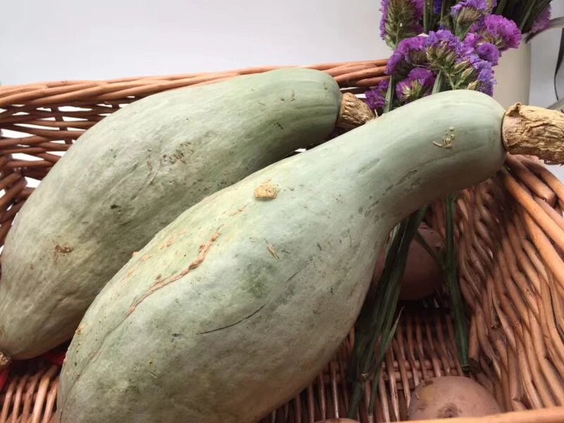 海南金丝板栗南瓜