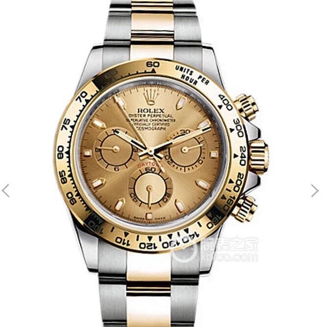 Rolex bag