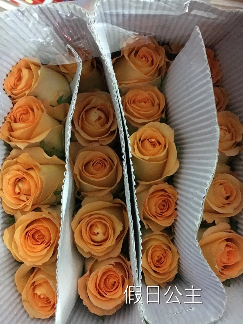 假日公主玫瑰 20支一扎