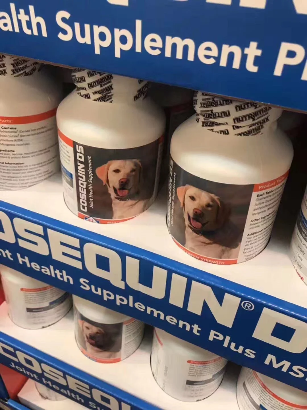 狗版维骨力限时折扣 Cosequin Ds Msm狗犬用加强型关节宝软骨素咀嚼片180粒