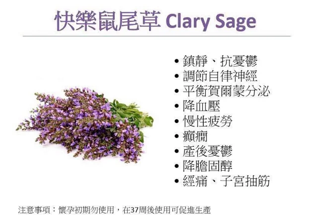 美国正品do快乐鼠尾草精油子宫保养经量经血不足痛经15ml