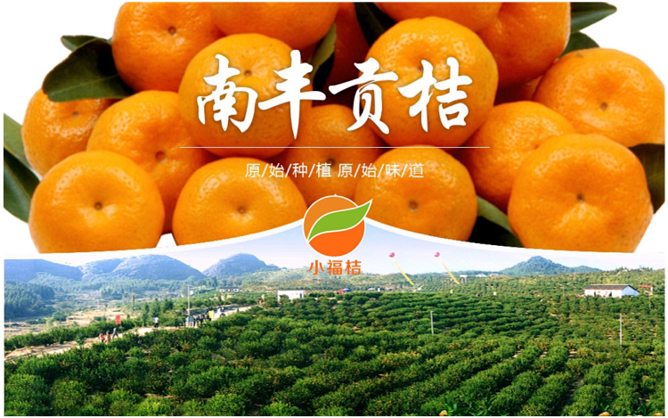 福桔·国家示范农产果园