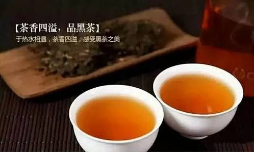 多喝黑茶,總會與眾不同