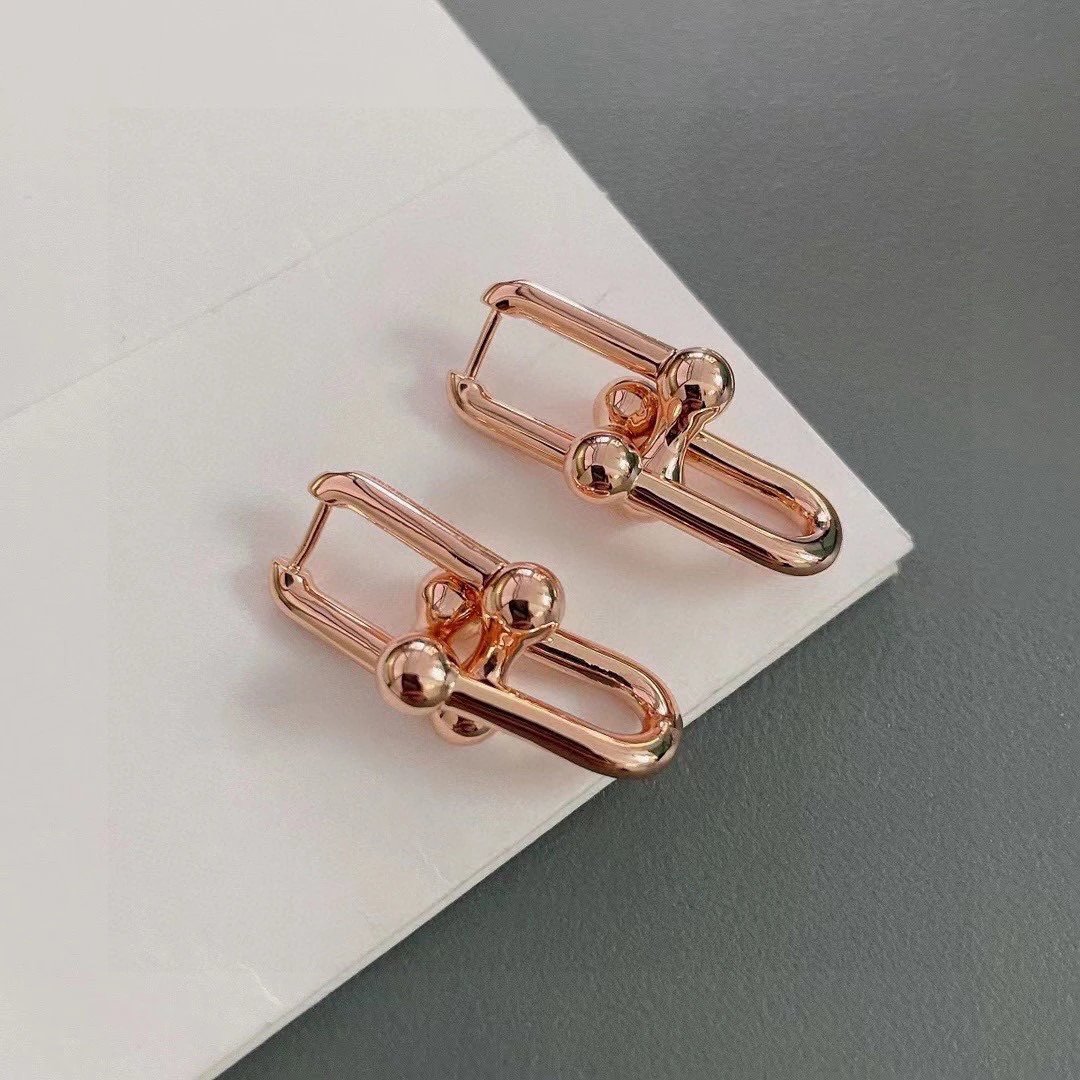 Tiffany Rose Gold Geometric Hoop Earrings for Women