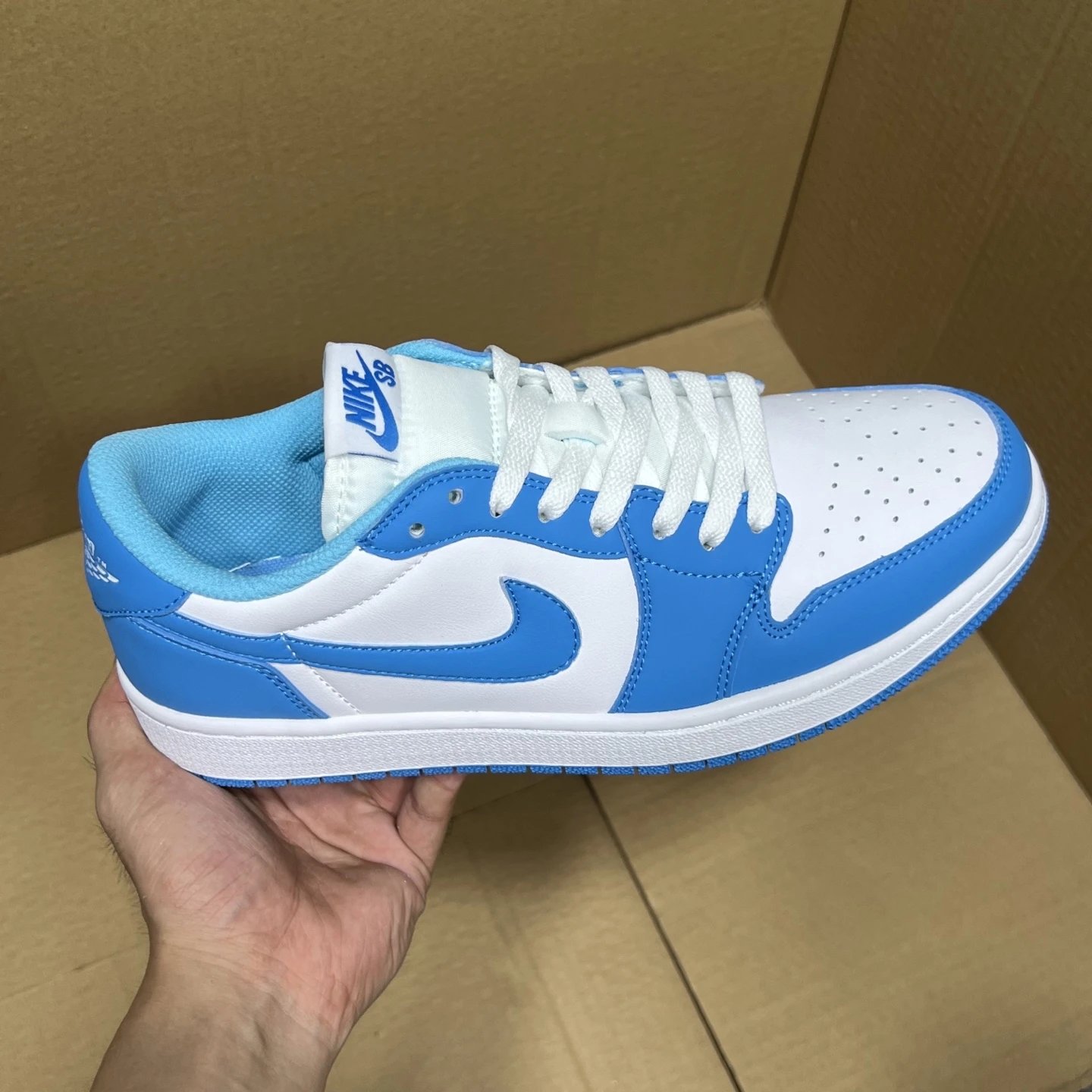 Nike SB Low Blue White Skate Shoes