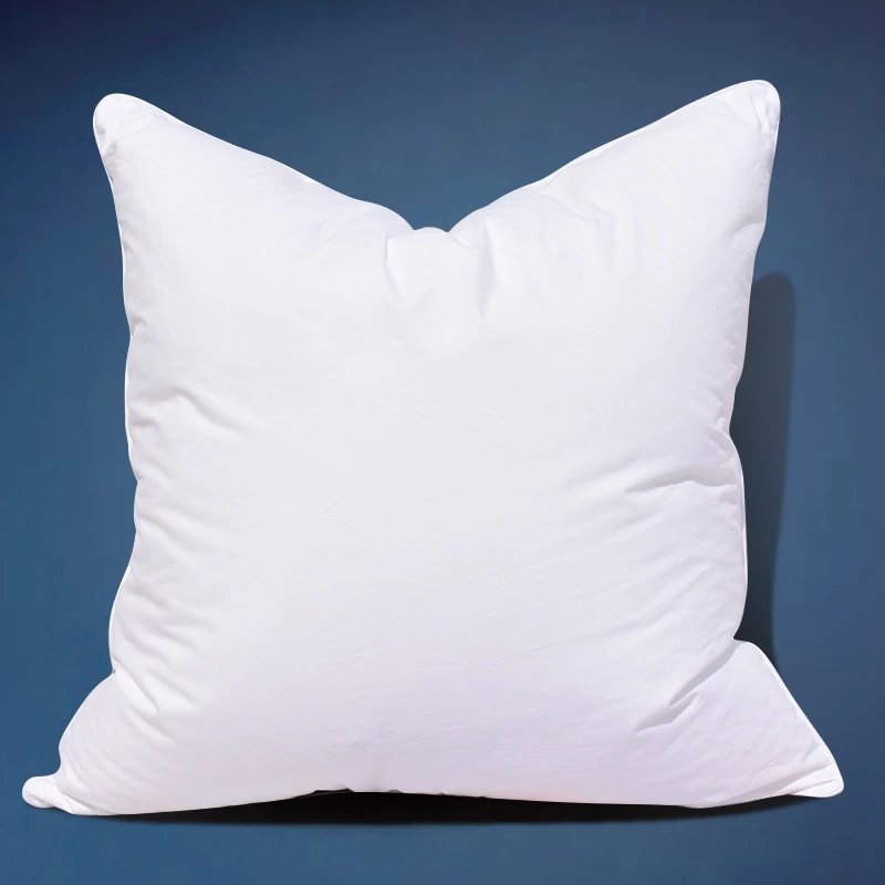 Pillow Insert